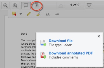 Options that appear for downloading assignment after user clicks download icon.