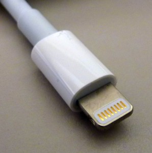 Picture of Apple Lightning End