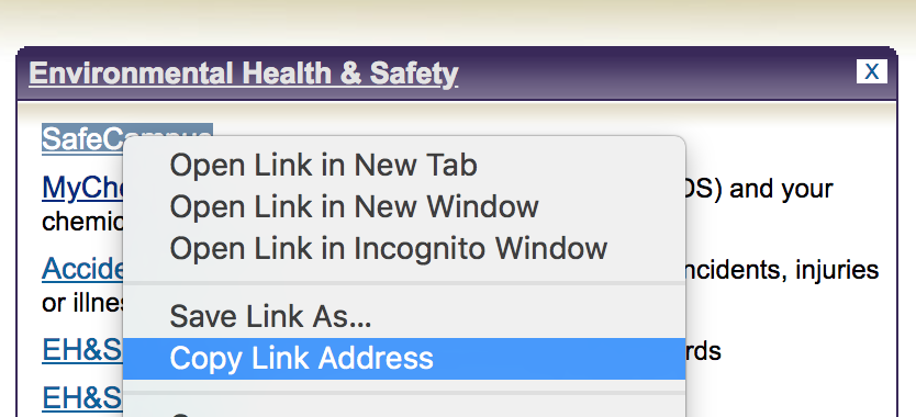 shortcut menu on link in MyUW, with Copy Link Address menu item highlighted