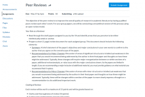 Screencapture of Peer review assignment