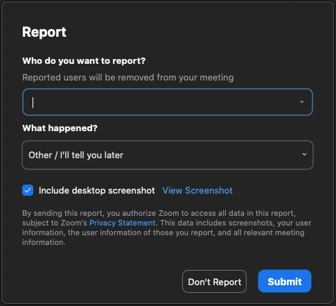 Meeting report interface