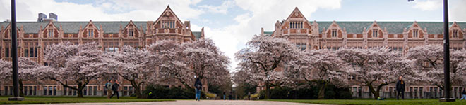 View of University buildings with cherry blossom trees in front.
