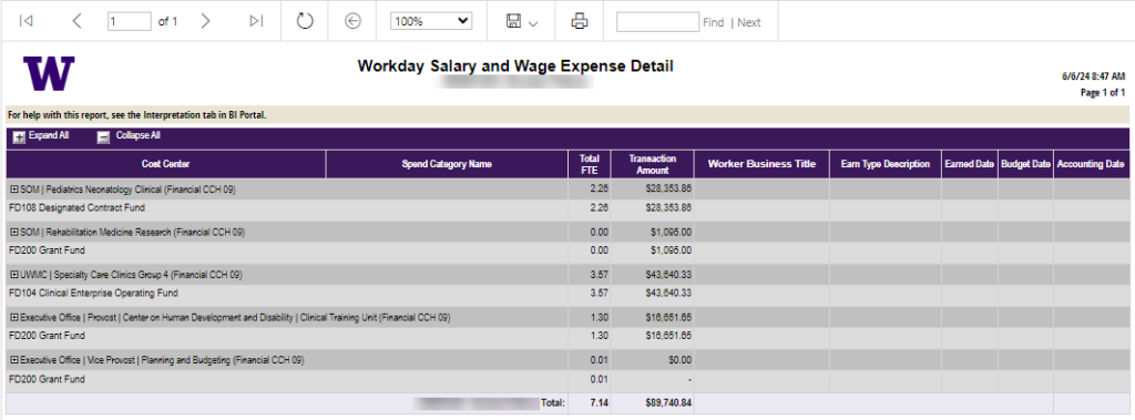 An example screenshot of the Workday Salary and Wage Expense Detail report.